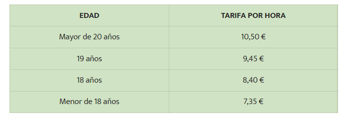 salario-mínimo-en-irlanda-2022